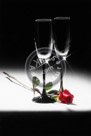 Champagne_Glasses_N_Rose_01