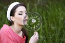 Dandelion_ DSC_0771
