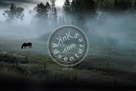 Chilcotin_Horse_Mist 