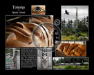 Collage_Totem