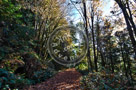 Fall_Scene_Galloping_Goose_001