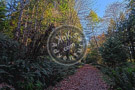 Fall_Scene_Galloping_Goose_004