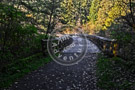 Fall_Scene_Galloping_Goose_Charters_Trestle_005