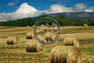 Hay_Bales