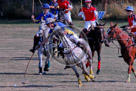 Polo_004_KMT6232