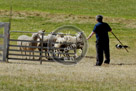 Sheepdog_004_DSC_9572