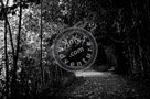 Bench_On_Path_Black_N_White_KTB0623-Edit