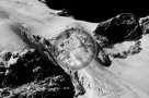 Columbia_Mountains_Heli_Tour_010_Black_N_White_KTA6170