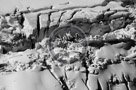 Columbia_Mountains_Heli_Tour_034_Black_N_White_KTA6263