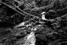Creek -001_Black_N_White_DSC_8724