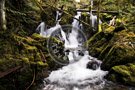 Creek -002_DSC_8726