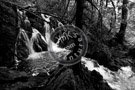 Creek -003_Black_N_White_DSC_8733
