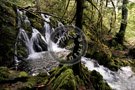 Creek -003_DSC_8733