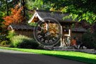 Gorge_Park_01_KMT6727