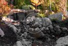 Gorge_Park_03_KMT6735