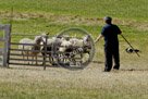 Sheepdog_004_DSC_9572