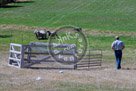 Sheepdog_009_KMT2958
