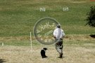 Sheepdog_010_DSC_8212