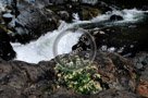 Sooke_River_003_KTA7684