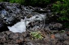 Sooke_River_004_KTA7805-Edit