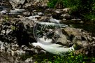 Sooke_River_008_KTA8496