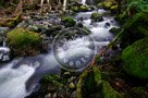 Todd_Creek_001