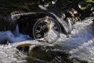 Todd_Creek_004