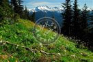 Whistler_Meadow_Whistler_South_Side_Over_Looking_Garabaldi_National_Park_KMT5473